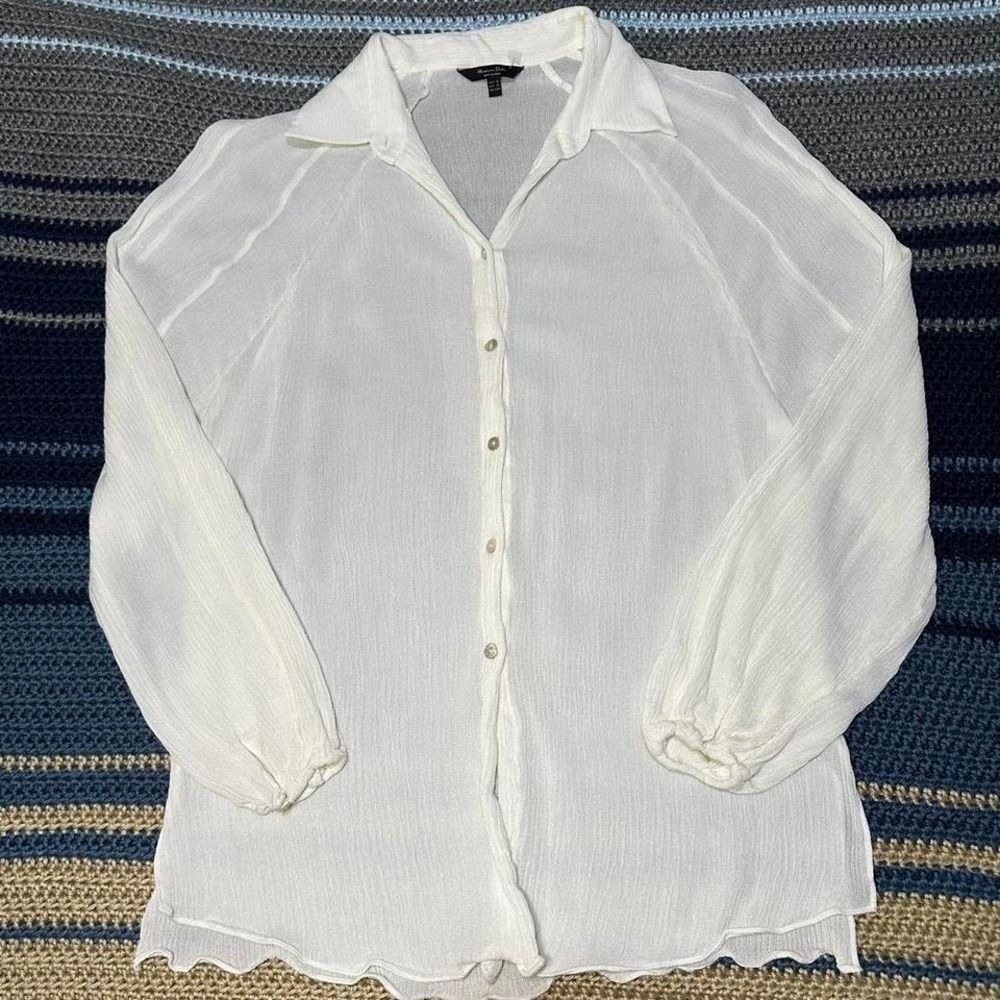 Massimo Dutti Sheer Button-Up Blouse | XS